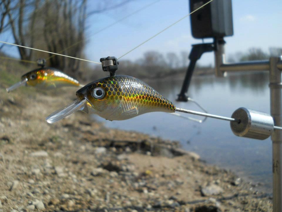 Net stuff - 150612542272575802541480828245n.jpg